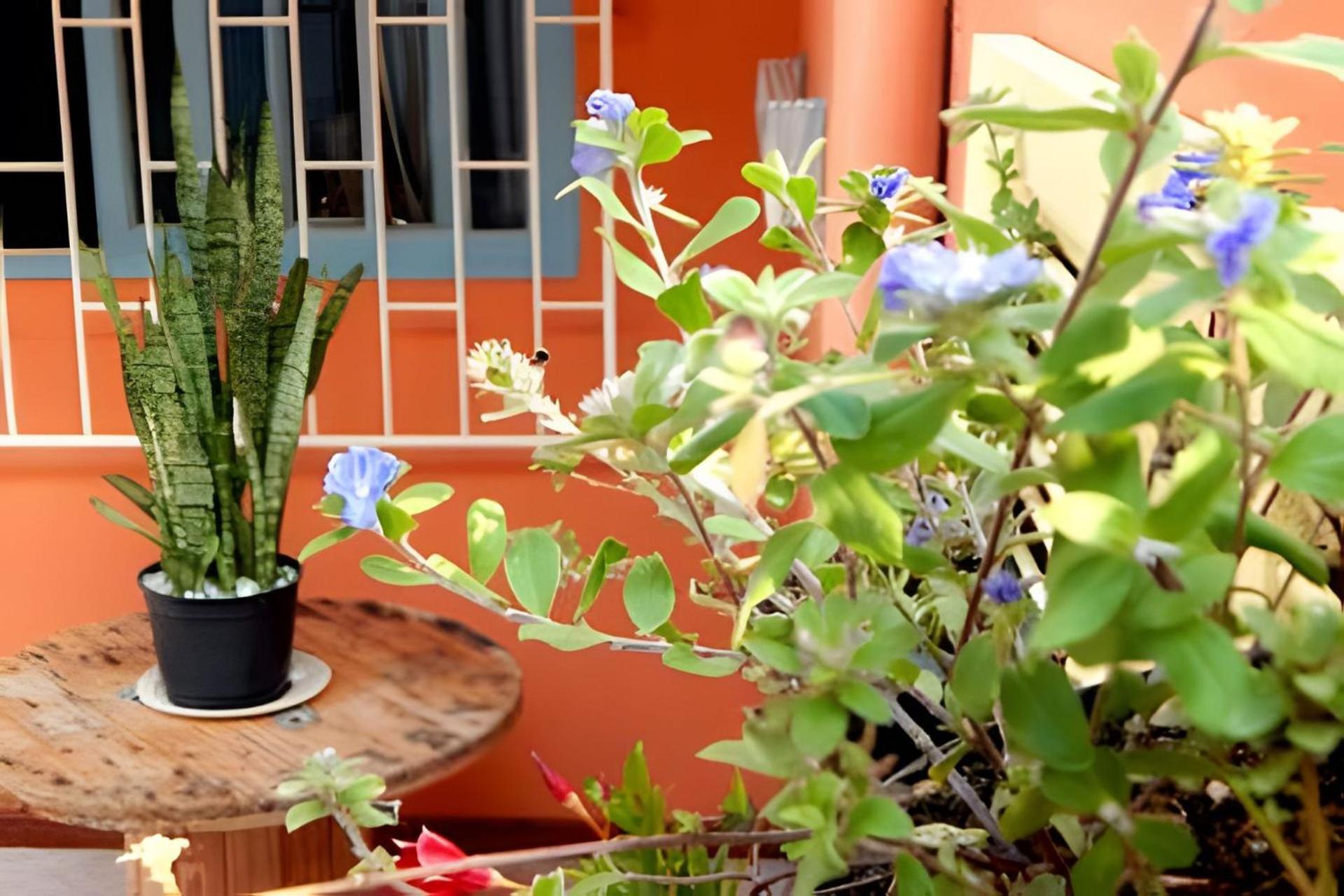Pouso Do Guarani - 200m Do Mar|wifi|ar Cond *